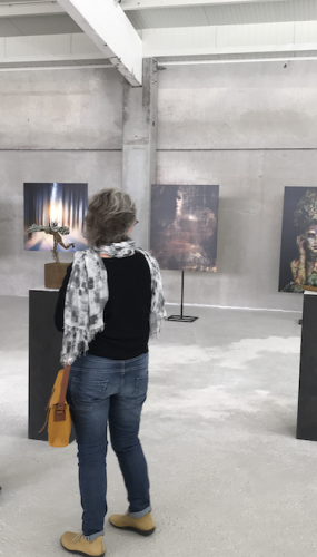 Schermafbeelding 2023-06-08 om 17.02.43